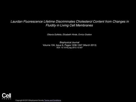 Laurdan Fluorescence Lifetime Discriminates Cholesterol Content from Changes in Fluidity in Living Cell Membranes  Ottavia Golfetto, Elizabeth Hinde,
