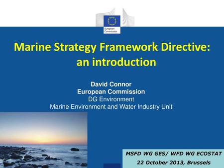 Marine Strategy Framework Directive: an introduction