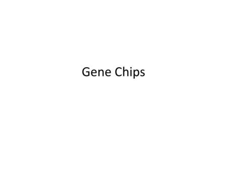 Gene Chips.