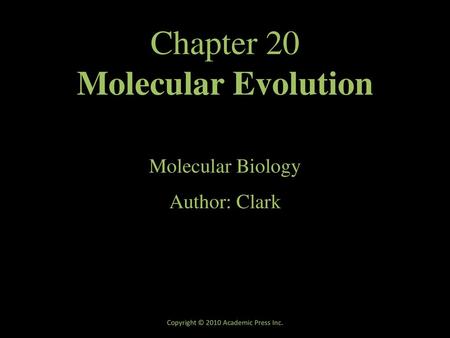Chapter 20 Molecular Evolution