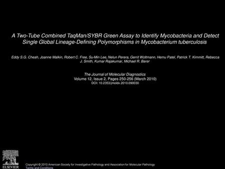 A Two-Tube Combined TaqMan/SYBR Green Assay to Identify Mycobacteria and Detect Single Global Lineage-Defining Polymorphisms in Mycobacterium tuberculosis 