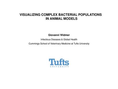 VISUALIZING COMPLEX BACTERIAL POPULATIONS IN ANIMAL MODELS