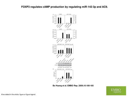 FOXP3 regulates cAMP production by regulating miR‐142‐3p and AC9.