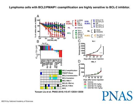 Lymphoma cells with BCL2/PMAIP1 coamplification are highly sensitive to BCL-2 inhibitor. Lymphoma cells with BCL2/PMAIP1 coamplification are highly sensitive.