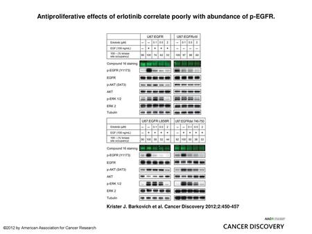 Antiproliferative effects of erlotinib correlate poorly with abundance of p-EGFR. Antiproliferative effects of erlotinib correlate poorly with abundance.
