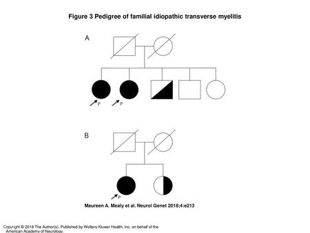 Figure 3 Pedigree of familial idiopathic transverse myelitis