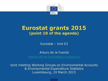 Eurostat grants 2015 (point 10 of the agenda)