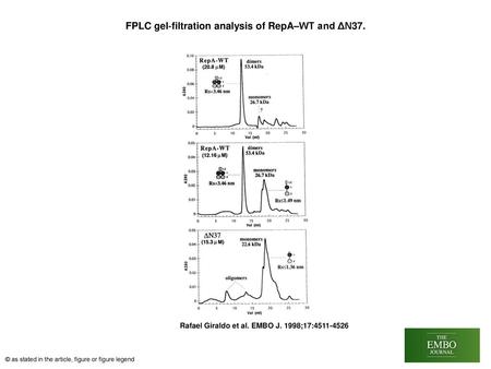 FPLC gel‐filtration analysis of RepA–WT and ΔN37.