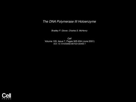 The DNA Polymerase III Holoenzyme