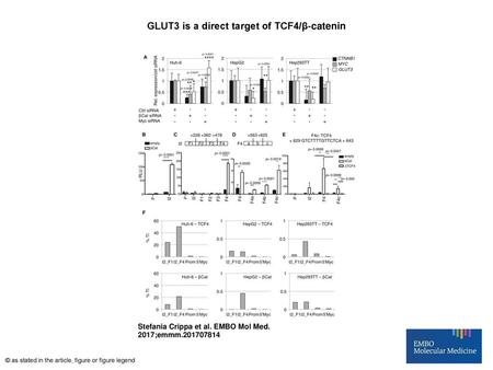 GLUT3 is a direct target of TCF4/β‐catenin