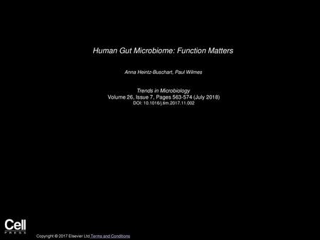 Human Gut Microbiome: Function Matters