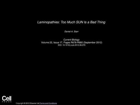 Laminopathies: Too Much SUN Is a Bad Thing