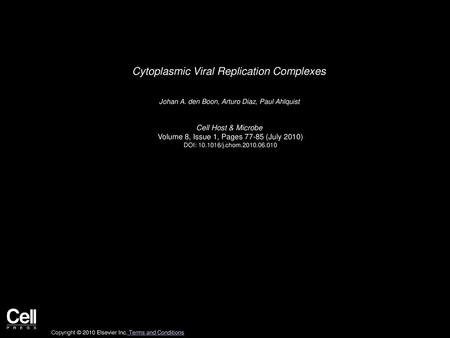 Cytoplasmic Viral Replication Complexes