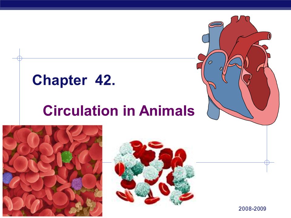 download numerical analysis