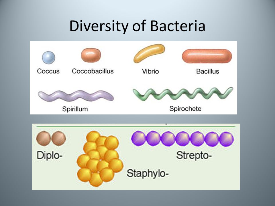 ebook anomalous diffusion from basics