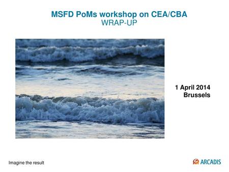 MSFD PoMs workshop on CEA/CBA WRAP-UP