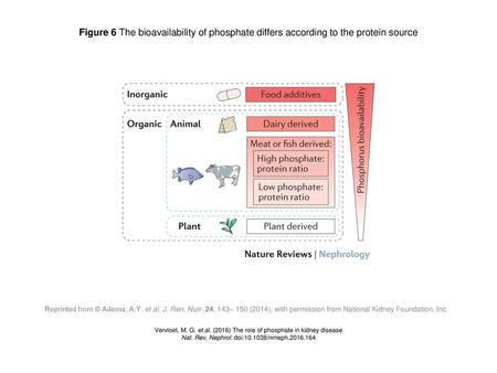 Figure 6 The bioavailability of phosphate differs according to the protein source Figure 6 | The bioavailability of phosphate differs according to the.