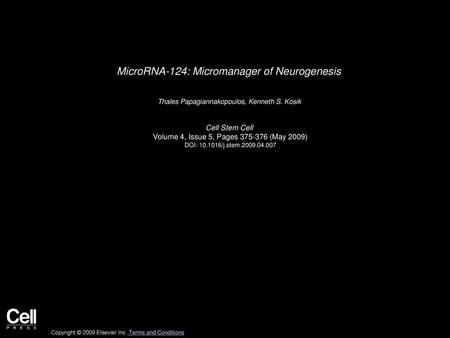 MicroRNA-124: Micromanager of Neurogenesis