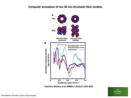Computer simulation of two 30‐nm chromatin fibre models.