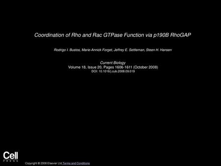 Coordination of Rho and Rac GTPase Function via p190B RhoGAP