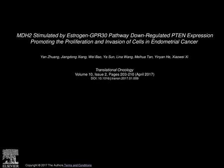 MDH2 Stimulated by Estrogen-GPR30 Pathway Down-Regulated PTEN Expression Promoting the Proliferation and Invasion of Cells in Endometrial Cancer  Yan.