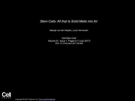 Stem Cells: All that Is Solid Melts into Air