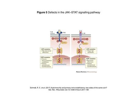 Figure 5 Defects in the JAK–STAT signalling pathway