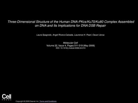 Three-Dimensional Structure of the Human DNA-PKcs/Ku70/Ku80 Complex Assembled on DNA and Its Implications for DNA DSB Repair  Laura Spagnolo, Angel Rivera-Calzada,