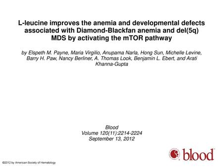 L-leucine improves the anemia and developmental defects associated with Diamond-Blackfan anemia and del(5q) MDS by activating the mTOR pathway by Elspeth.