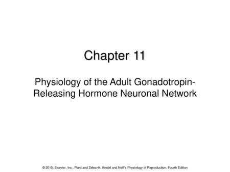 Chapter 11 Physiology of the Adult Gonadotropin-Releasing Hormone Neuronal Network © 2015, Elsevier, Inc., Plant and Zeleznik, Knobil and Neill's Physiology.