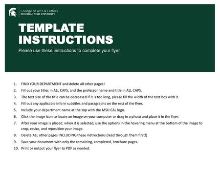 TEMPLATE INSTRUCTIONS