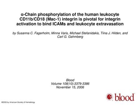 Α-Chain phosphorylation of the human leukocyte CD11b/CD18 (Mac-1) integrin is pivotal for integrin activation to bind ICAMs and leukocyte extravasation.