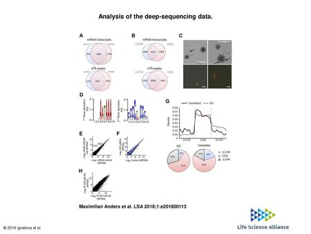 Analysis of the deep-sequencing data.