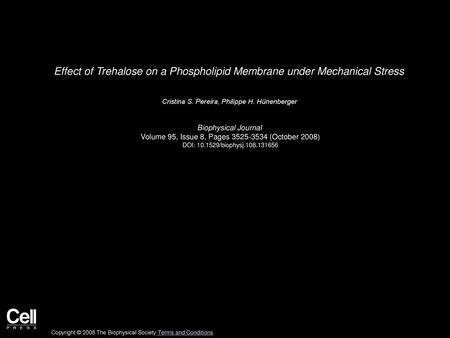 Effect of Trehalose on a Phospholipid Membrane under Mechanical Stress