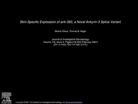 Skin-Specific Expression of ank-393, a Novel Ankyrin-3 Splice Variant