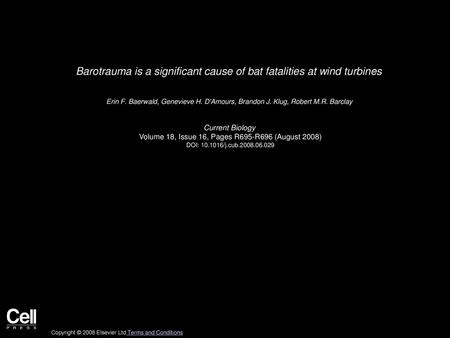 Barotrauma is a significant cause of bat fatalities at wind turbines