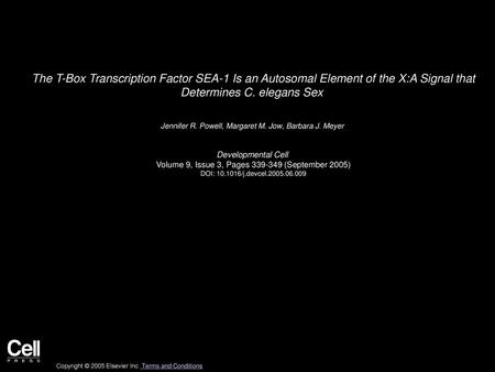 The T-Box Transcription Factor SEA-1 Is an Autosomal Element of the X:A Signal that Determines C. elegans Sex  Jennifer R. Powell, Margaret M. Jow, Barbara.