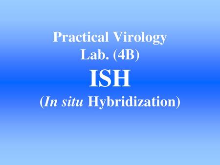 Practical Virology Lab. (4B) ISH (In situ Hybridization)
