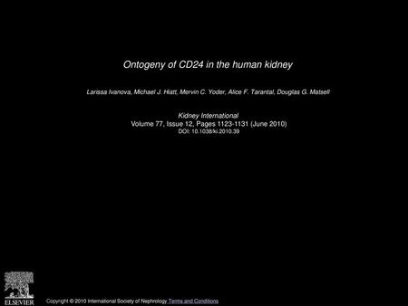 Ontogeny of CD24 in the human kidney