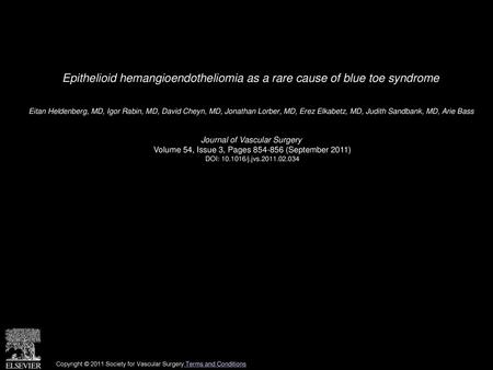 Epithelioid hemangioendotheliomia as a rare cause of blue toe syndrome
