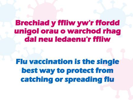   Brechiad y ffliw yw'r ffordd unigol orau o warchod rhag dal neu ledaenu'r ffliw Flu vaccination is the single best way to protect from catching or spreading.
