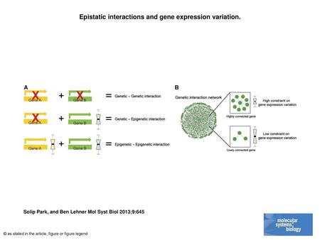 Epistatic interactions and gene expression variation.