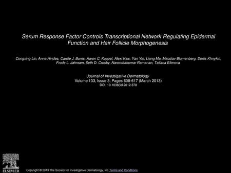 Serum Response Factor Controls Transcriptional Network Regulating Epidermal Function and Hair Follicle Morphogenesis  Congxing Lin, Anna Hindes, Carole.