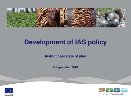 Development of IAS policy Institutional state of play 3 September 2010