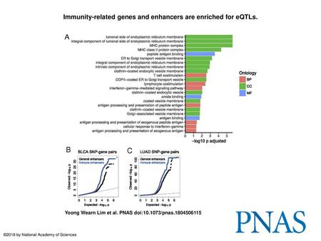 Immunity-related genes and enhancers are enriched for eQTLs.