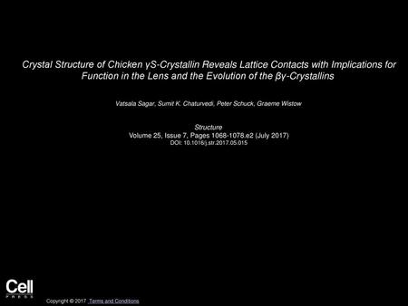 Crystal Structure of Chicken γS-Crystallin Reveals Lattice Contacts with Implications for Function in the Lens and the Evolution of the βγ-Crystallins 