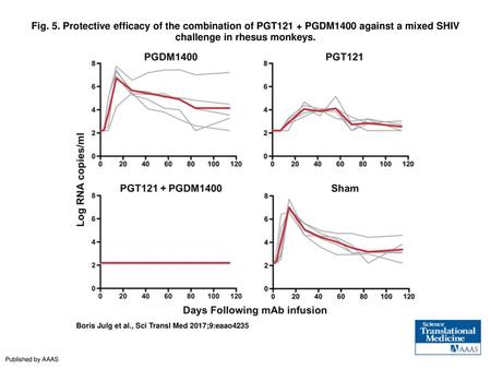 Fig. 5. Protective efficacy of the combination of PGT121 + PGDM1400 against a mixed SHIV challenge in rhesus monkeys. Protective efficacy of the combination.