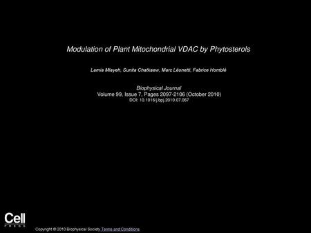 Modulation of Plant Mitochondrial VDAC by Phytosterols