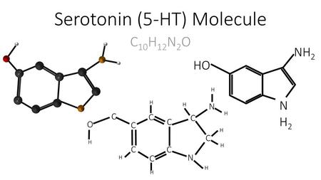 Serotonin (5-HT) Molecule
