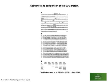 Sequence and comparison of the SDS protein.